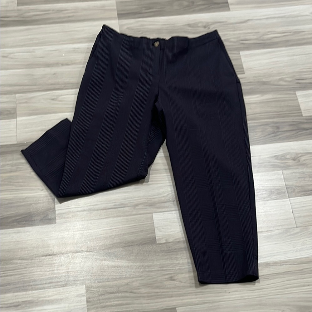 J Jill Ankle Pants Womens 15P Blue Red Plaid Elastic Waist Career Office Wear
